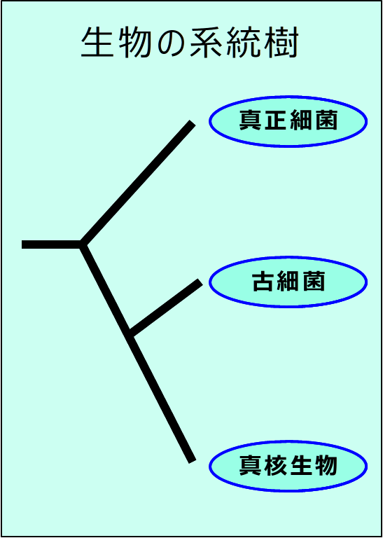 3ドメイン図 3ドメイン図